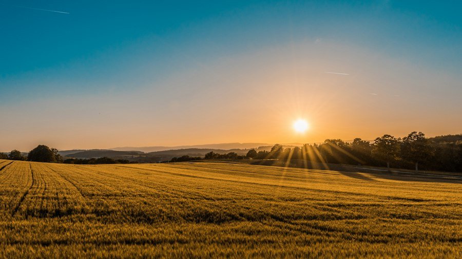 Campos agrícolas ao nascer do sol, imagem ilustrativa
